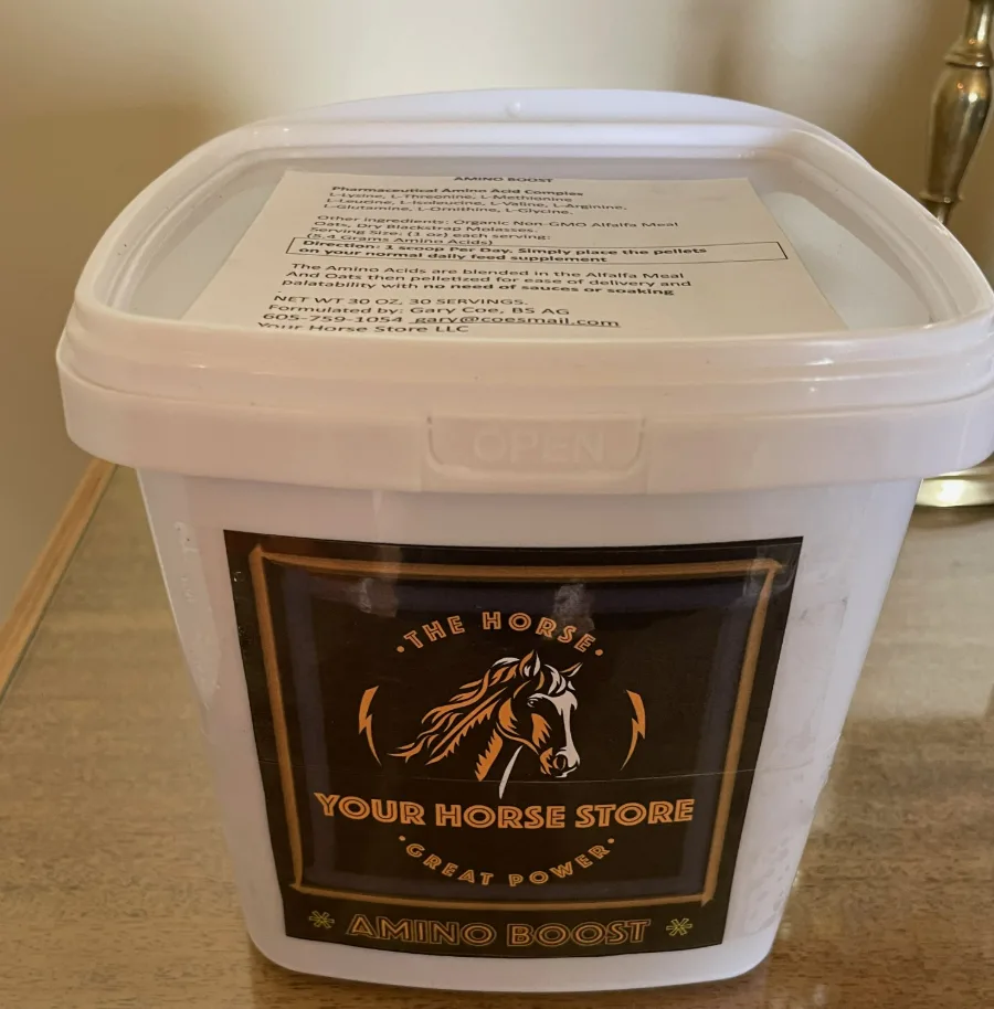 Regular Bucket