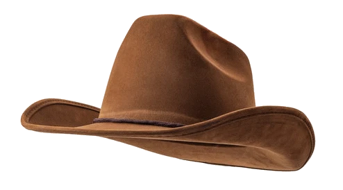 A brown felt cowboy hat