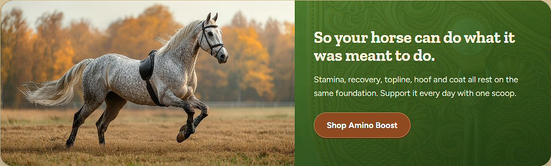 Horse Power Aminos Testimonials